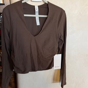 Long-Sleeve V-Neck Women's Top in Brown